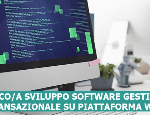 TECNICO/A SVILUPPO SOFTWARE GESTIONALE/TRANSAZIONALE SU PIATTAFORMA WEB