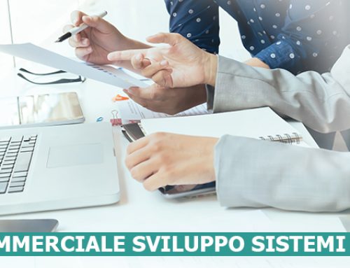 COMMERCIALE SVILUPPO SISTEMI ICT