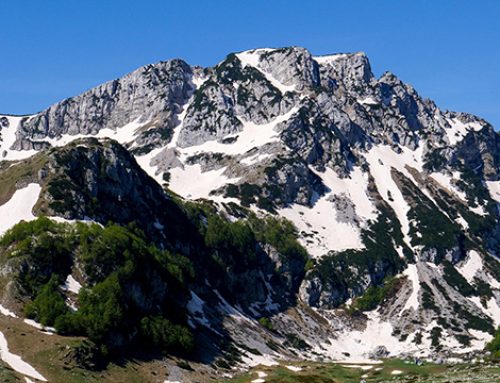 Sviluppo e promozione della montagna