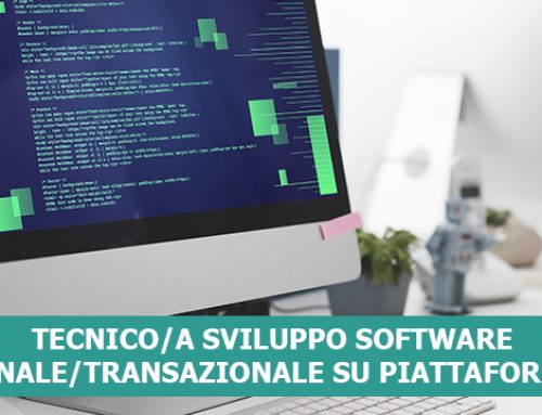 TECNICO/A SVILUPPO SOFTWARE GESTIONALE/TRANSAZIONALE SU PIATTAFORMA WEB